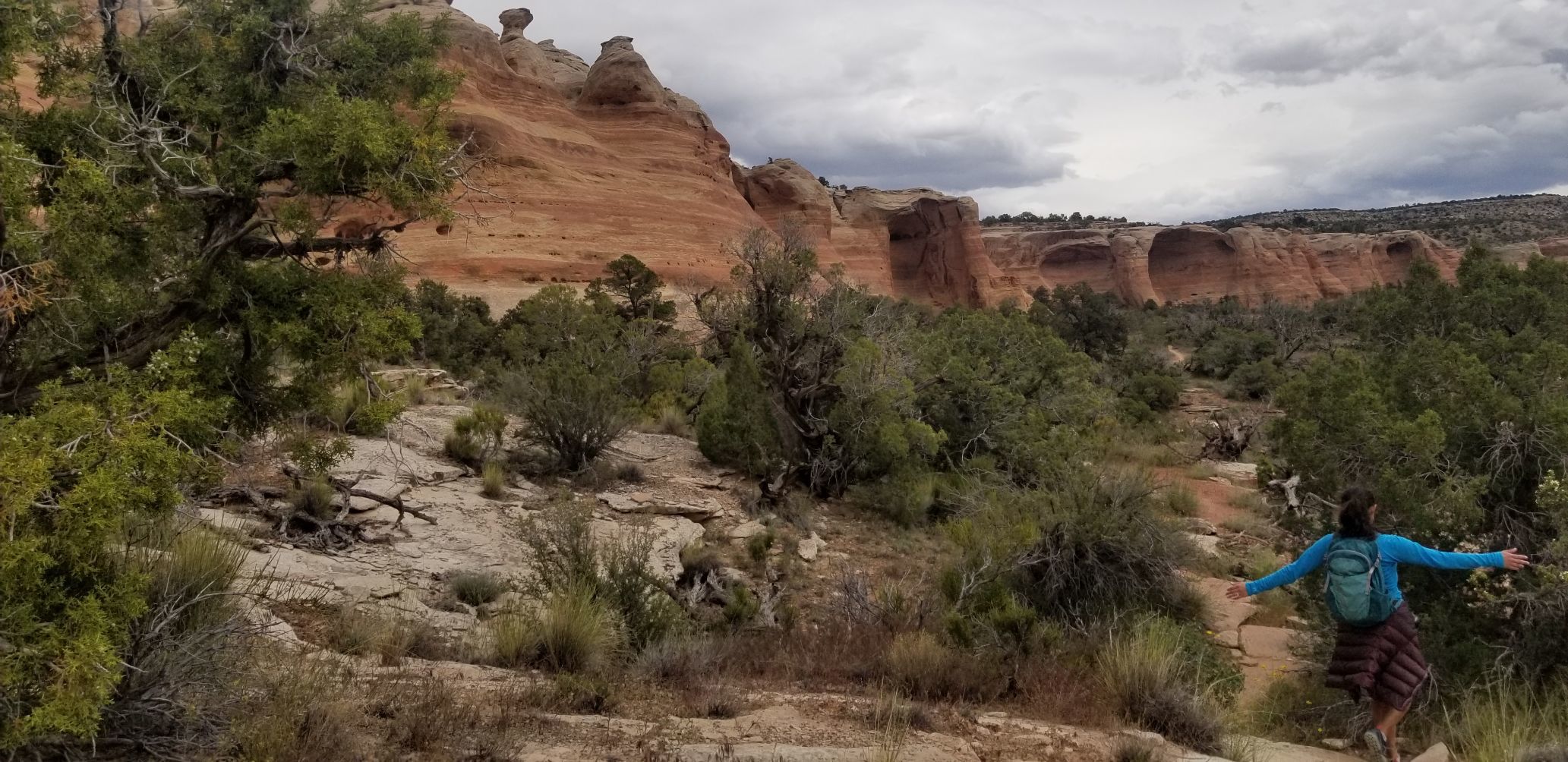 6. The Rattlesnake Arches